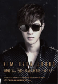 [Photobook] Kim Hyun Joong - Collection Book [HEAT] (+Folded Bromide 1p)