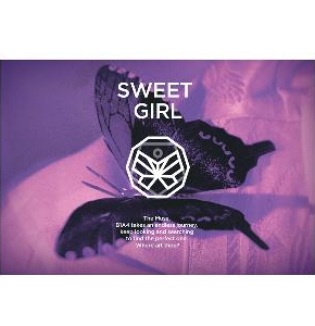 B1A4 - Mini Album Vol.6  Sweet Girl + Photobook (Butterfly ver.)