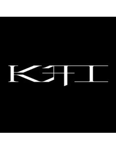 KAI 1st Mini Album - KAI (开) (FLIP BOOK Ver.)